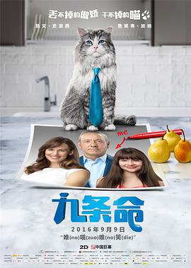 久久久久久国产精品三级