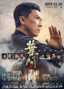 猫咪最新地域网名是什么